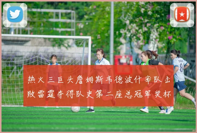 热火三巨头詹姆斯韦德波什率队击败雷霆夺得队史第二座总冠军奖杯