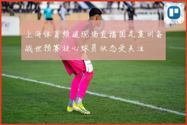 上海体育频道现场直播国足集训备战世预赛核心球员状态受关注