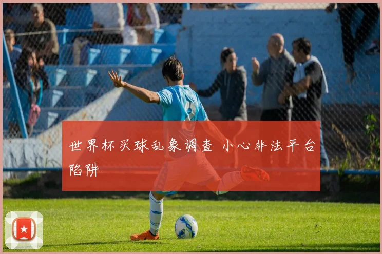 世界杯买球乱象调查 小心非法平台陷阱