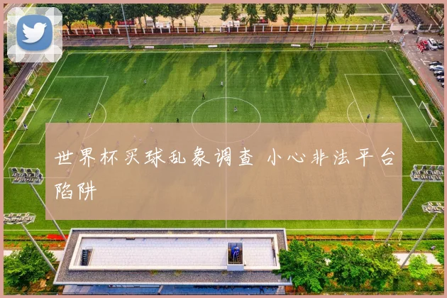 世界杯买球乱象调查 小心非法平台陷阱