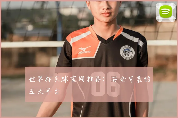 世界杯买球官网推荐：安全可靠的五大平台