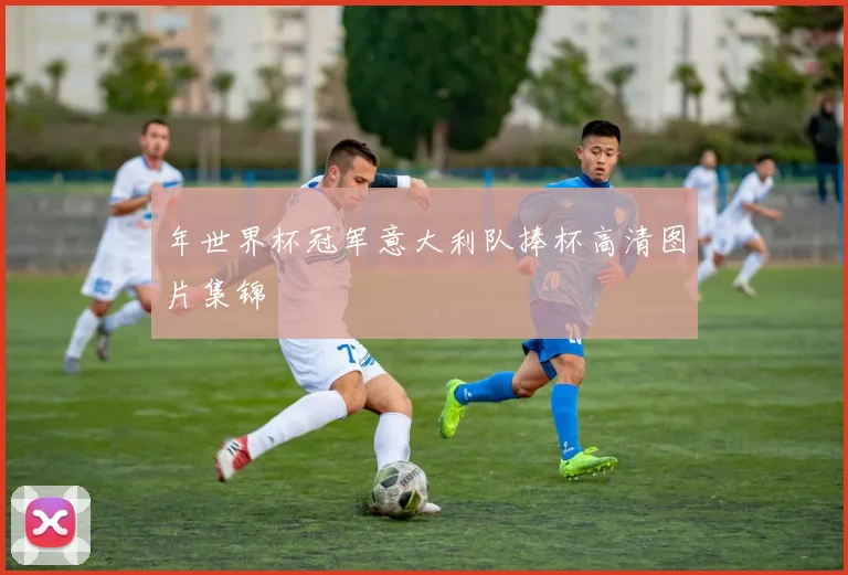 年世界杯冠军意大利队捧杯高清图片集锦