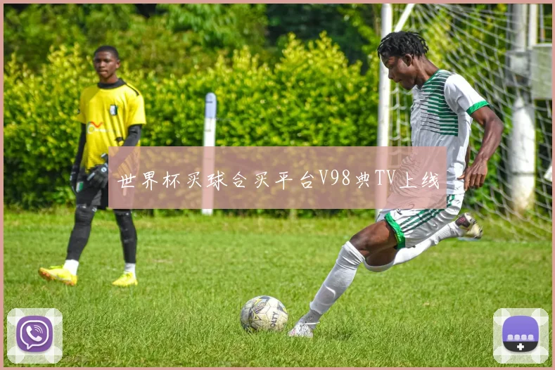 世界杯买球合买平台V98典TV上线