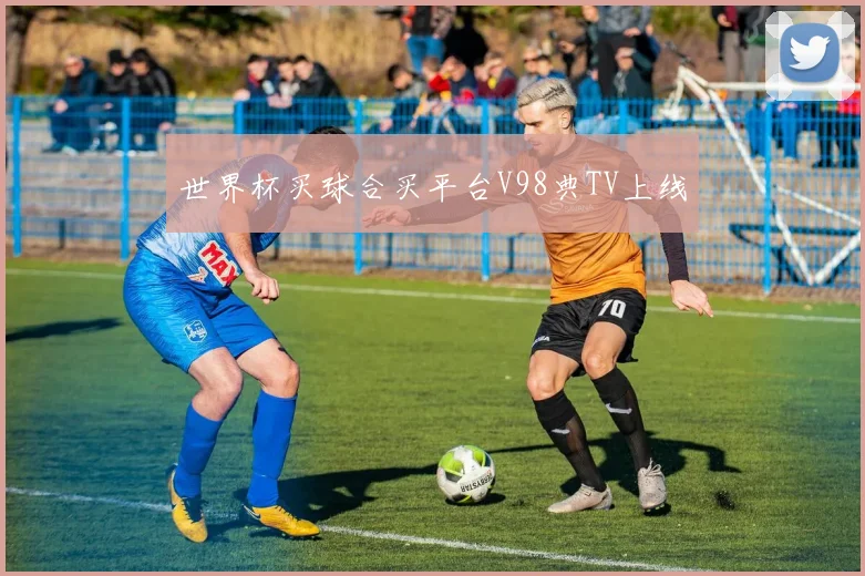 世界杯买球合买平台V98典TV上线