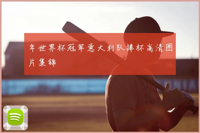 年世界杯冠军意大利队捧杯高清图片集锦