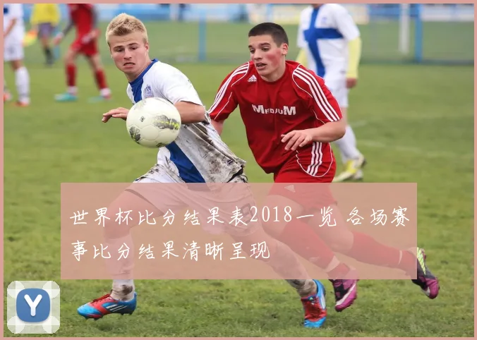 世界杯比分结果表2018一览 各场赛事比分结果清晰呈现