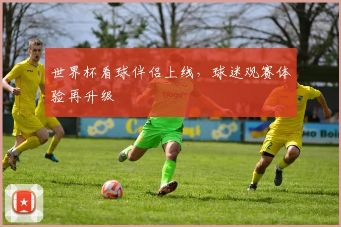 世界杯看球伴侣上线，球迷观赛体验再升级